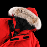 Canada Goose Jacket