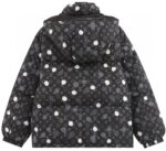 Louis Vuitton Jacket