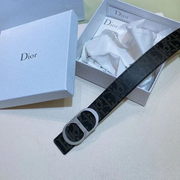 Belt