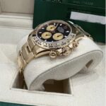 Daytona RLX027