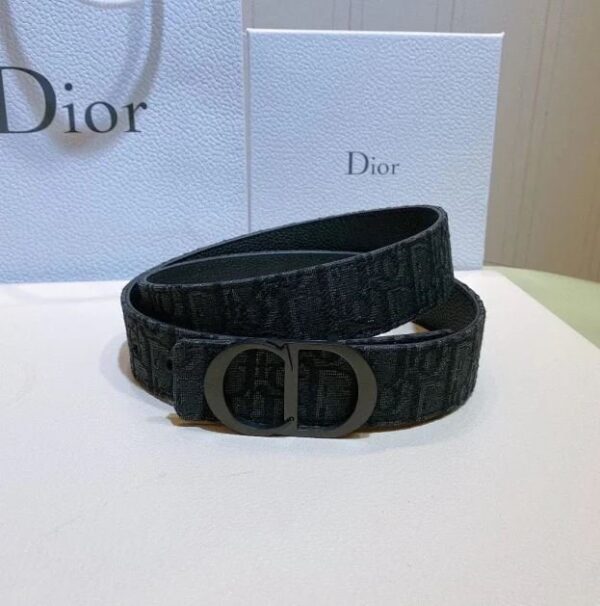 Belt