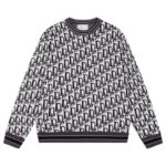 Dior Hoodie