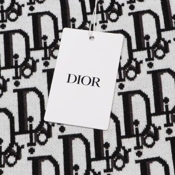 Dior Hoodie