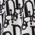 Dior Hoodie