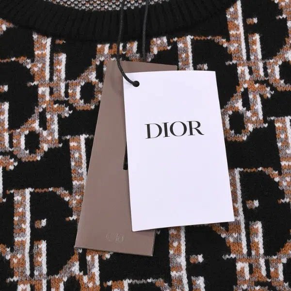 Dior Hoodie