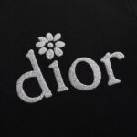Dior Hoodie