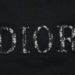 Dior Hoodie