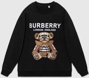 Burberry Hoodie