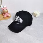 Dior Cap
