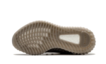 350 v2 Beluga