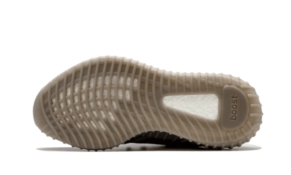 350 v2 Beluga