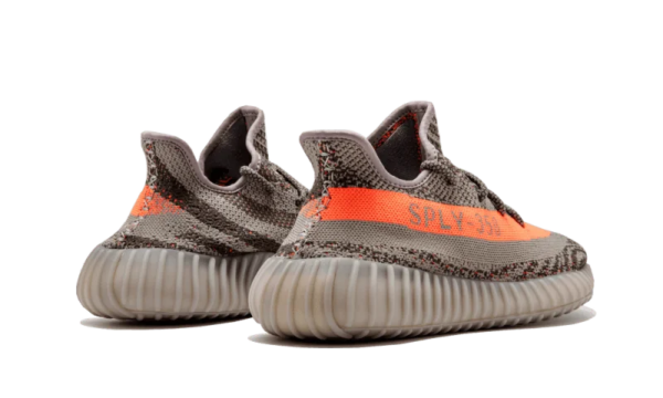350 v2 Beluga