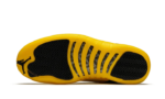 Black University Gold