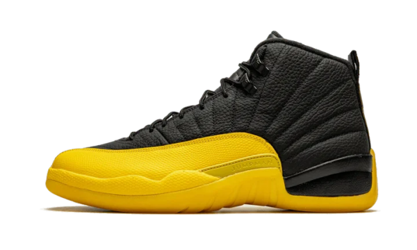 Black University Gold