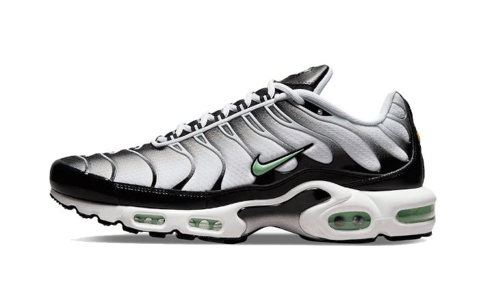 Seafoam Grey Black