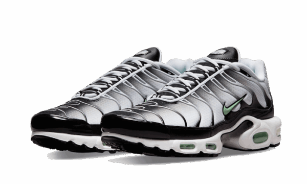 Seafoam Grey Black