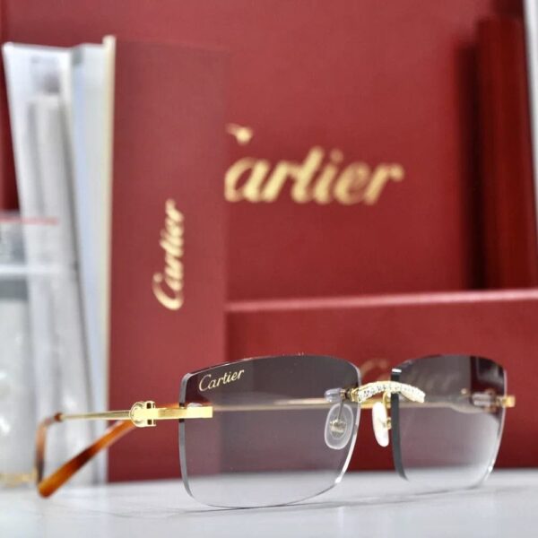 Glasses