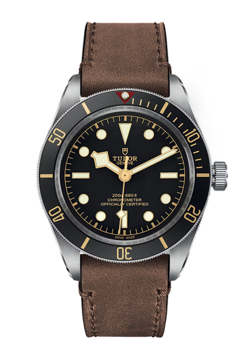 Tudor Black Bay 58 39mm (24BP)